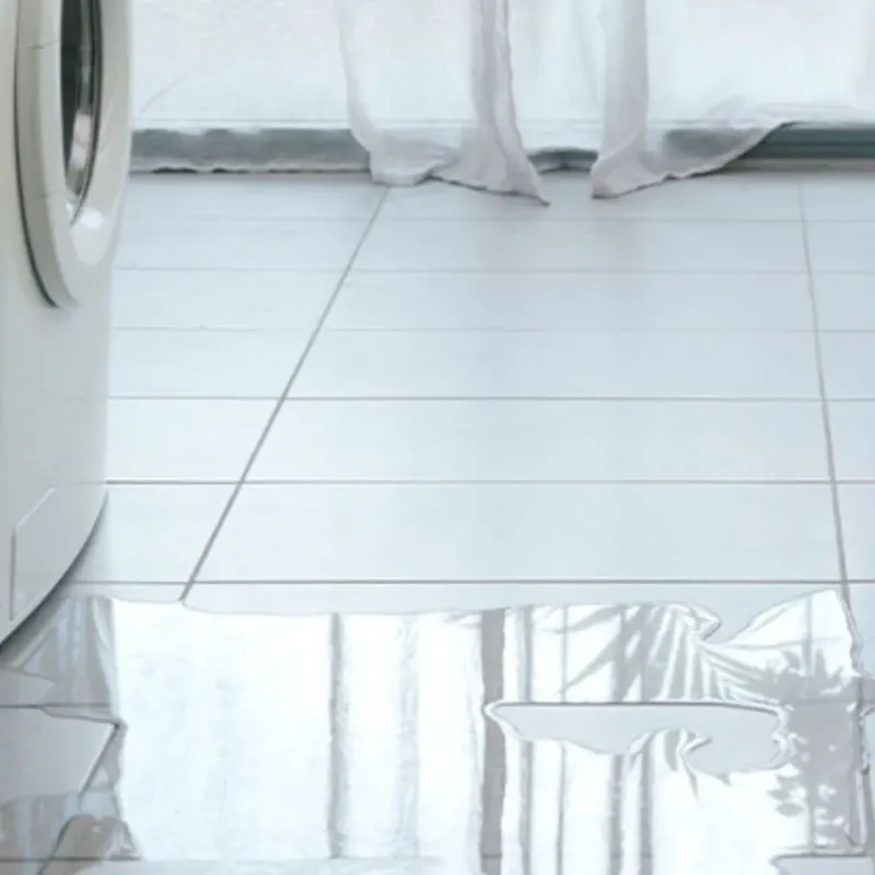 Appliance Leak Cleanup in Converse, TX