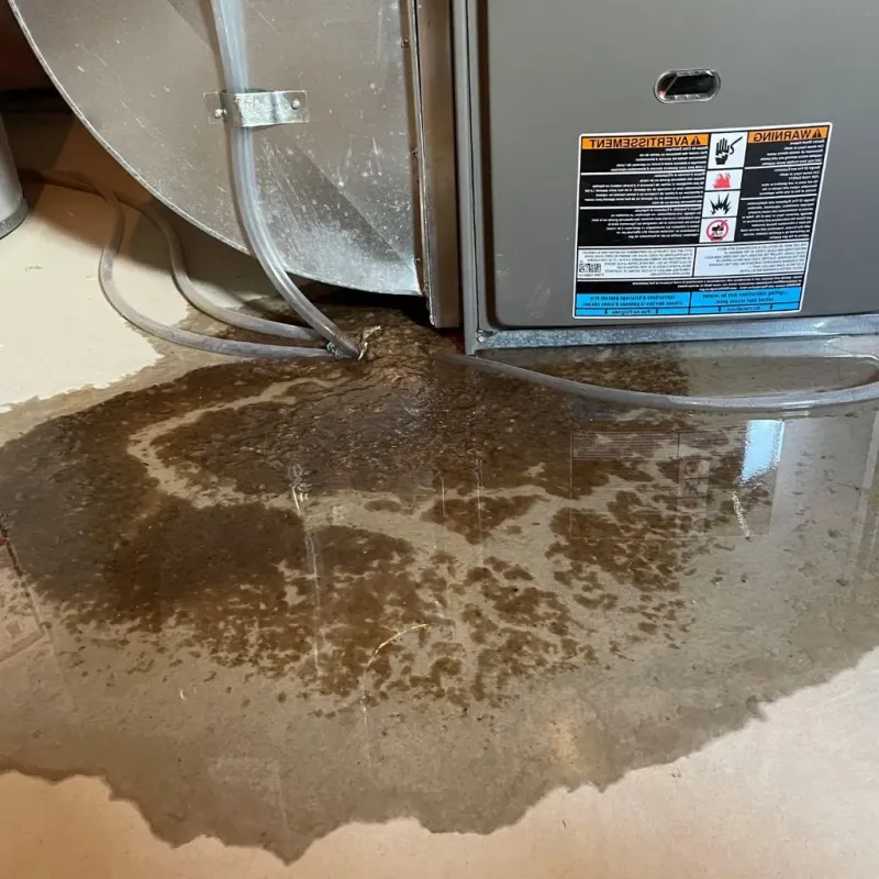 Pipe Burst and Leak Restoration in Converse, TX