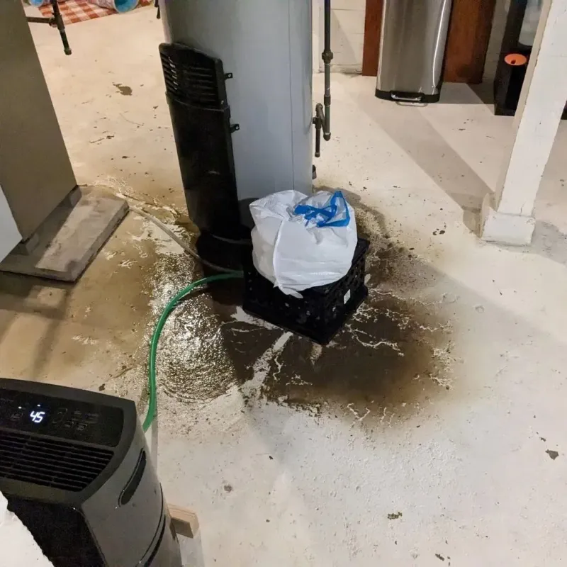 Sewage Backup Cleanup Service in Converse, TX